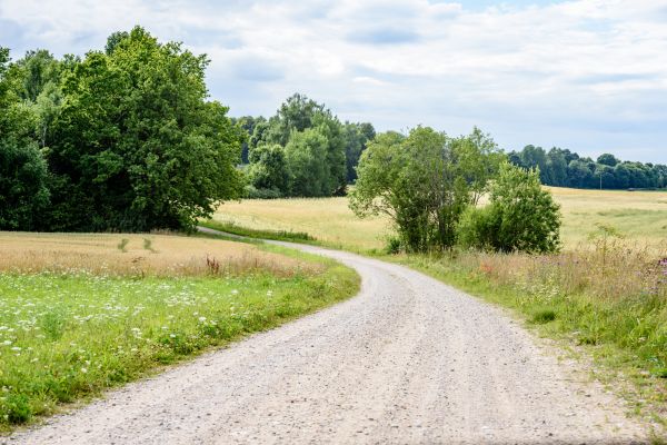 Stone Driveway Repair in Meridian