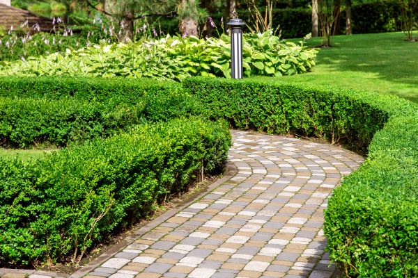 Paved Landscaping in Meridian