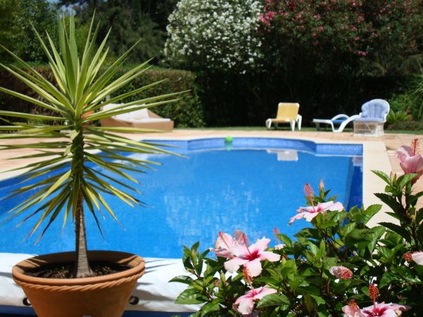 Pool Terrace Renovation in Meridian